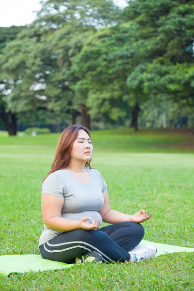 Женщины plus size практикуют йогу Стоковое Изображение