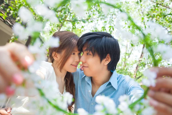 Liebendes asiatisches Paar unter Baum im Park — Stockfoto