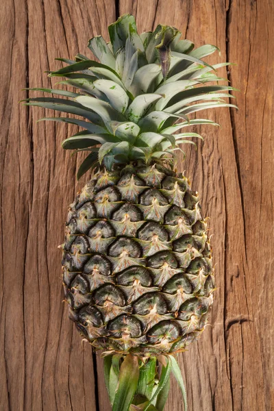 Ananas drewno — Zdjęcie stockowe