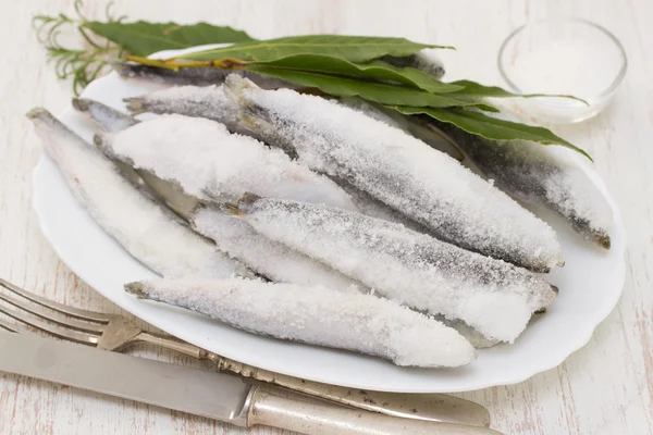 Sardine in ghiaccio su piatto bianco — Foto Stock