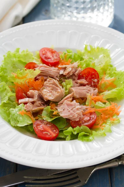 Salada de atum em prato branco — Fotografia de Stock