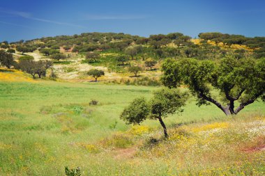 güzel manzara ağaçlar ve dağlar Portekiz