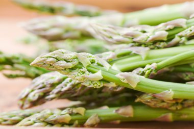 kuşkonmaz kahverengi zemin üzerine