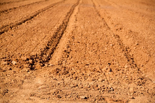 Agriculture field in spring — Stock Photo, Image