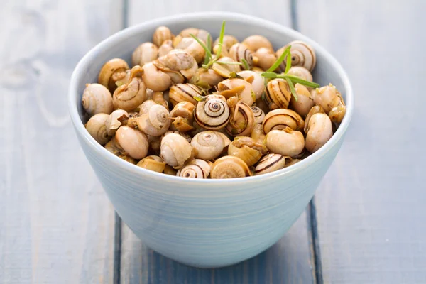 Schnecken in blauer Schale auf blauem Holzhintergrund — Stockfoto