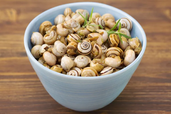 Schnecken mit Bier — Stockfoto