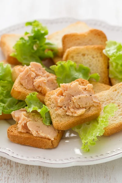 Toasts mit Pastete auf weißem Teller — Stockfoto