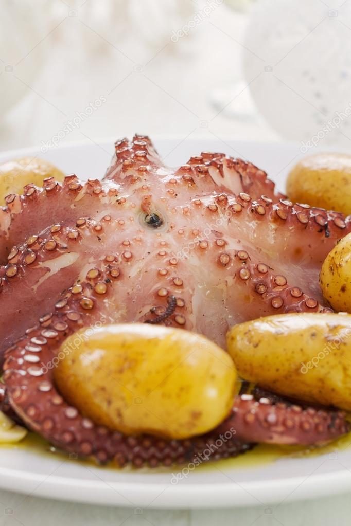 Gekochter Oktopus mit Kartoffeln auf weißem Teller — Stockfoto ...