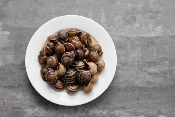 Boiled Snails White Small Plate Ceramic Background — Stock Photo, Image