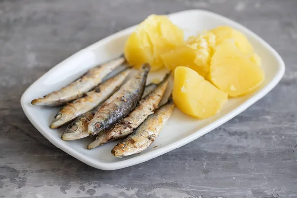 Stekta Sardiner Med Kokt Potatis Vit Skål Grå Keramik Bakgrund — Stockfoto