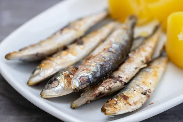 Gebratene Sardinen Mit Salzkartoffeln Auf Weißem Teller Auf Grauem Keramikhintergrund — Stockfoto