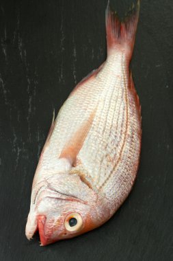 Siyah zemin üzerinde taze balık