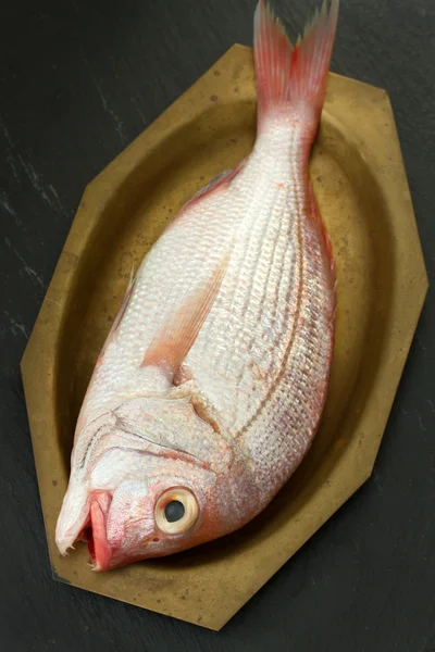 Frischer Fisch auf dem Teller — Stockfoto