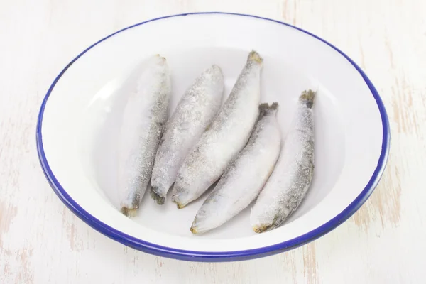 Frozen sardines on white dish on white background — Stock Photo, Image