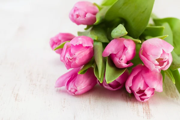 Pink tulips — Stock Photo, Image