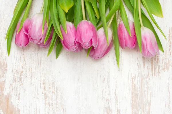 Pink tulips on white background — Stock Photo, Image