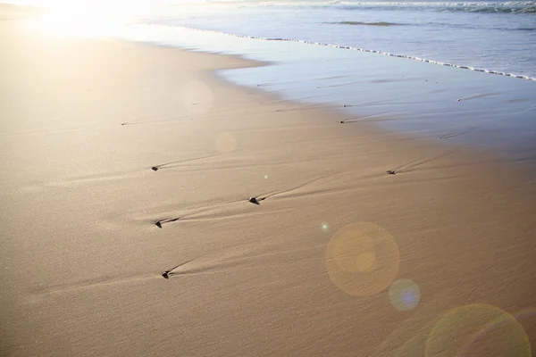 Пляжі на захід сонця — стокове фото