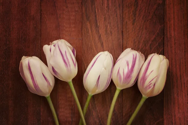 Tulips on brown background — Stock Photo, Image