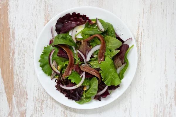 Salade aux anchois et oignon sur assiette blanche — Photo