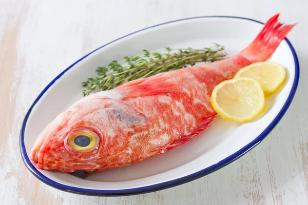 Red fish with herbs and lemon on dish — Stock Photo, Image