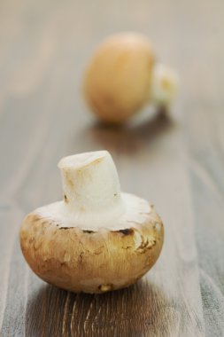 kahverengi ahşap zemin üzerinde iki mantar