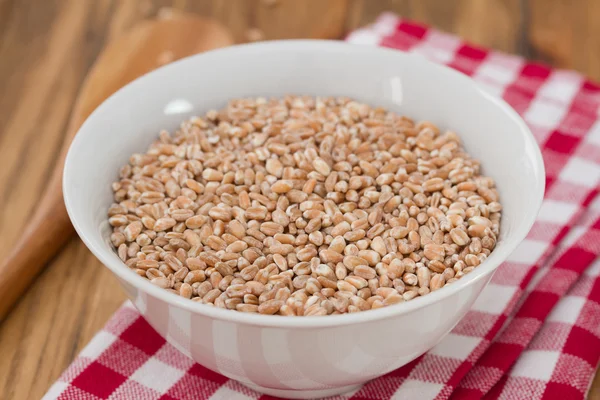 Spelt in white bowl with wooden spoon — Stock Photo, Image