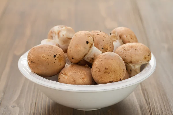 Mushrooms in plate on brown wooden background — Stock Photo, Image