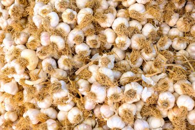 Baazar 'da satılık sarımsak