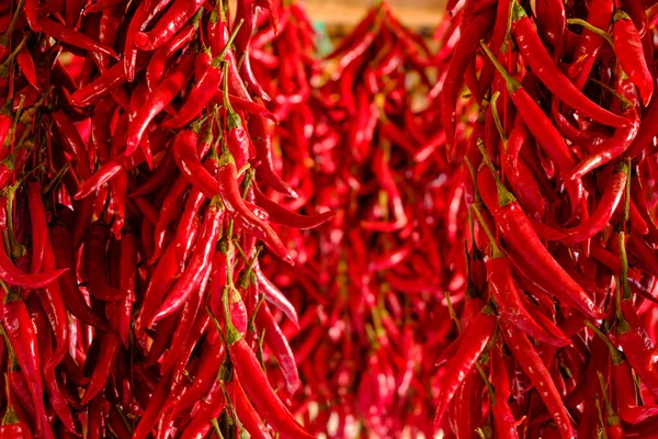 Poivrons Séchant Extérieur Comme Traditionnel Photos De Stock Libres De Droits