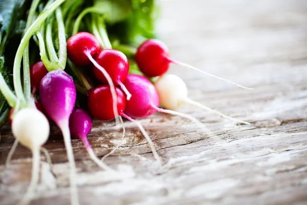 Bunch of fresh radishes — Stock Photo, Image