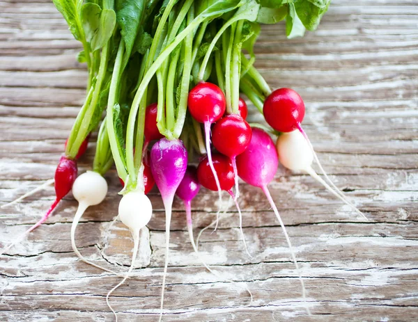 Ein Bund frischer Radieschen — Stockfoto