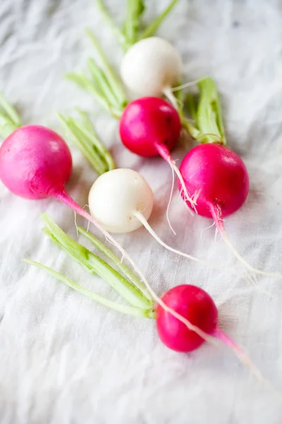 Fresh radishes from home garden — Stock Photo, Image