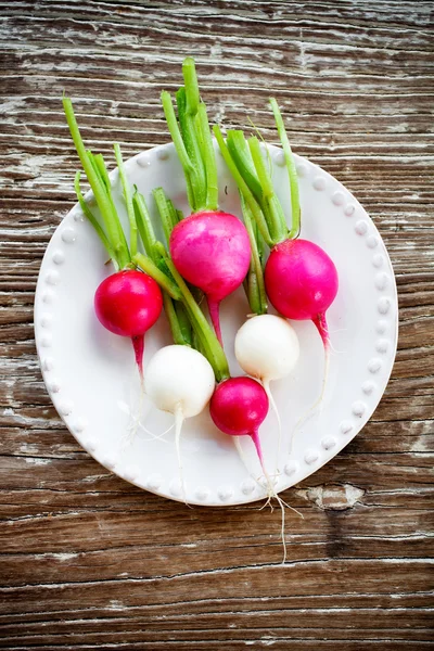 Radieschen aus dem heimischen Garten — Stockfoto