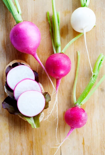 Appetizer bruchetta with radishes — Stock Photo, Image