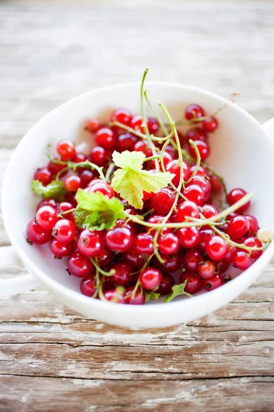 Röda vinbär bär i skål — Stockfoto