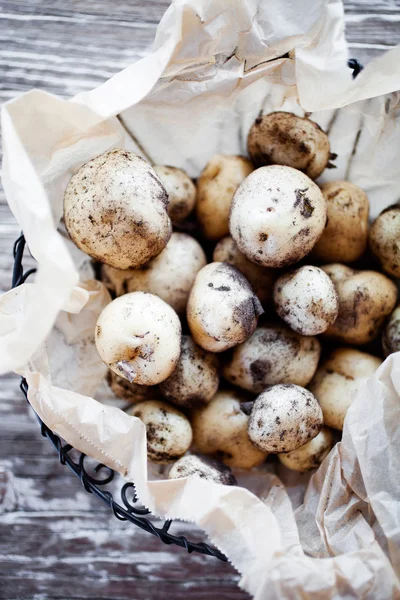 Batatas recém-colhidas em casa — Fotografia de Stock