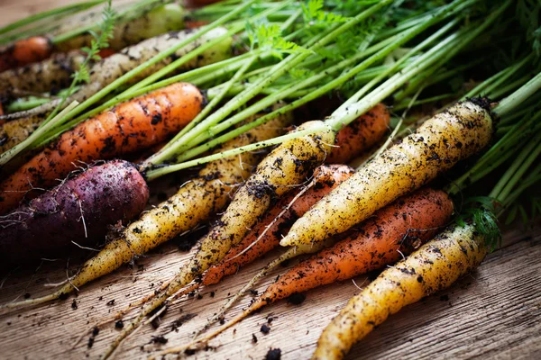 Rainbow carrots — Stock Photo, Image