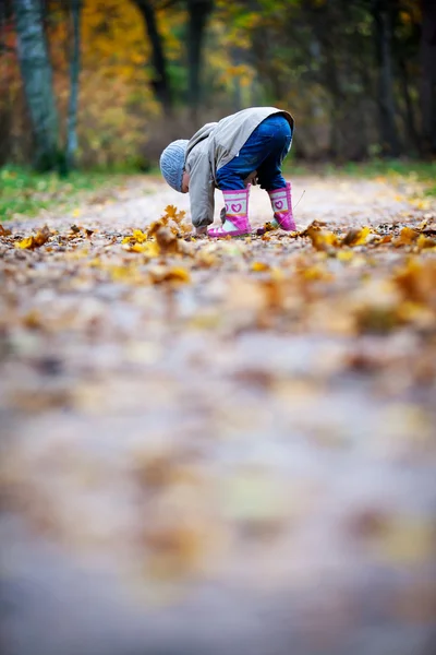 Meisje verzamelen bladeren — Stockfoto
