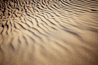 Kum tepeleri, Gran Canaria