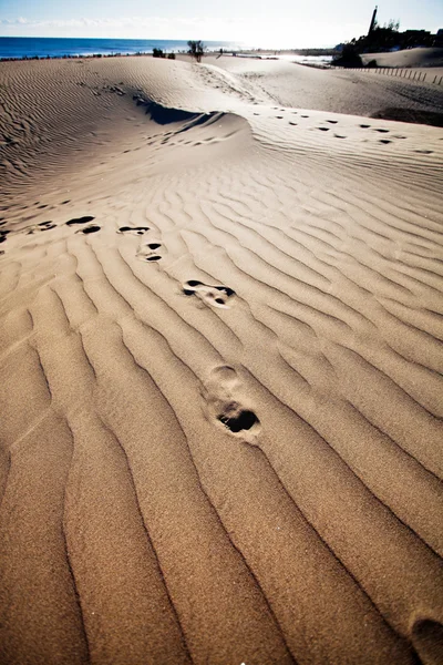 Sand dunes, Gran Canaria — Stock Photo, Image