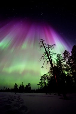 Güzel kuzey ışıkları