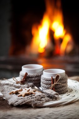 Gingerbread çerezleri ile şarap