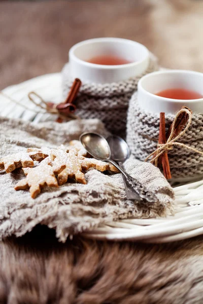 Vinho com biscoitos de gengibre — Fotografia de Stock