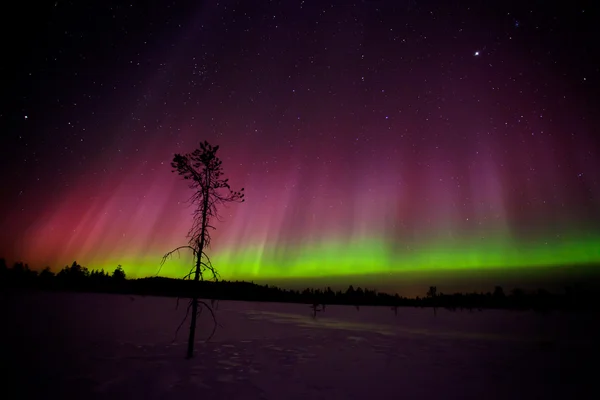 Schöne Nordlichter — Stockfoto