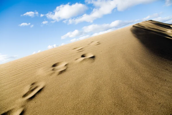 Human Footprints on sand — Stock Photo, Image