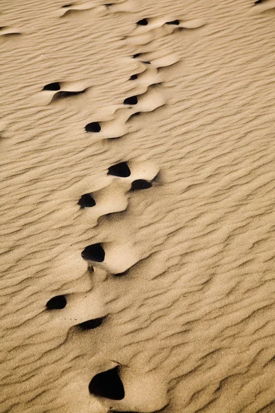 Emberi lábnyomok a homok — Stock Fotó