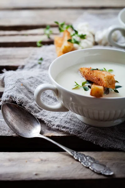 Soup with toasted bread — Stock Image Soup with toasted bread Royalty Free Stock Photos