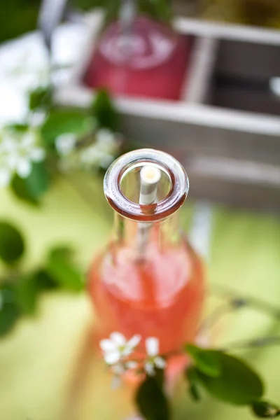 Juice made from fresh rhubarb — Stock Photo, Image