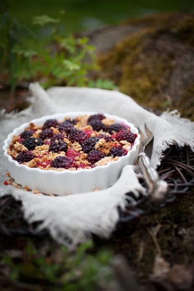 Homemade pie with raspberries — Stock Photo, Image