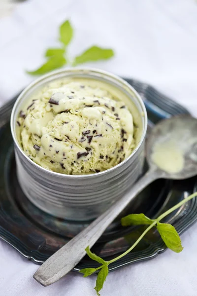 Gelato alla menta con gocce di cioccolato — Foto Stock